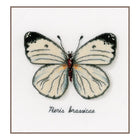 DIY Counted cross stitch kit LMV White butterfly 16 x 14 cm / 6.4