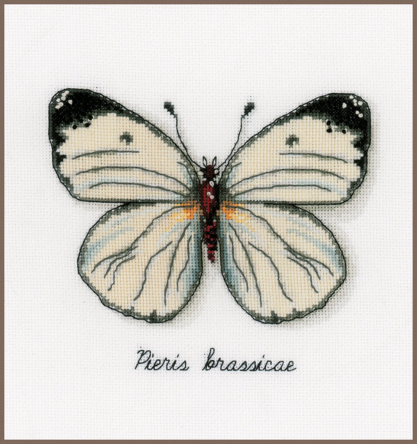 DIY Counted cross stitch kit LMV White butterfly 16 x 14 cm / 6.4