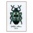 DIY Counted cross stitch kit LMV Blue beetle 12 x 20 cm / 4.8