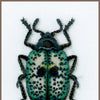 DIY Counted cross stitch kit LMV Blue beetle 12 x 20 cm / 4.8" x 8"