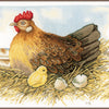 DIY Counted cross stitch kit Mother hen