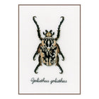 DIY Counted cross stitch kit LMV Beige beetle 12 x 18 cm / 4.8