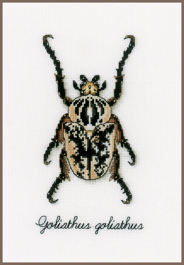 DIY Counted cross stitch kit LMV Beige beetle 12 x 18 cm / 4.8