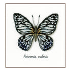 DIY Counted cross stitch kit LMV Blue butterfly 16 x 15 cm / 6.4
