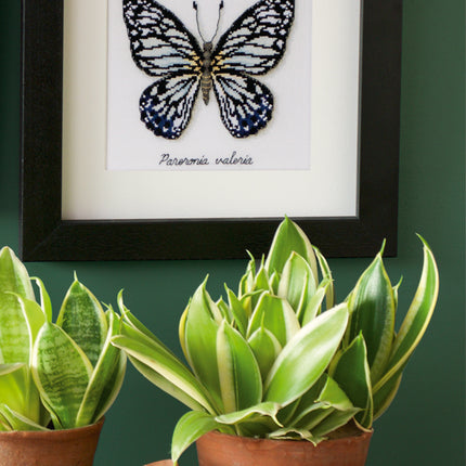 DIY Counted cross stitch kit LMV Blue butterfly 16 x 15 cm / 6.4" x 6"