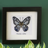 DIY Counted cross stitch kit LMV Blue butterfly 16 x 15 cm / 6.4" x 6"