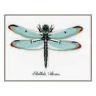 DIY Counted cross stitch kit LMV Dragonfly 27 x 19 cm / 10.8