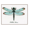 DIY Counted cross stitch kit LMV Dragonfly 27 x 19 cm / 10.8" x 7.6"