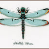 DIY Counted cross stitch kit LMV Dragonfly 27 x 19 cm / 10.8" x 7.6"