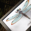 DIY Counted cross stitch kit LMV Dragonfly 27 x 19 cm / 10.8" x 7.6"