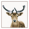 DIY Counted cross stitch kit Deer 20 x 20 cm / 8" x 8"