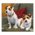 DIY Counted cross stitch kit Best friends for life