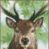 DIY Counted cross stitch kit Proud red deer