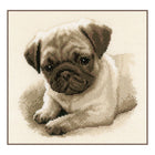 DIY Counted cross stitch kit Pug dog 21 x 21 cm / 8.4