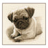 DIY Counted cross stitch kit Pug dog 21 x 21 cm / 8.4" x 8.4"