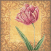 DIY Counted cross stitch kit Tulip