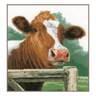 DIY Counted cross stitch kit Wondering cow
