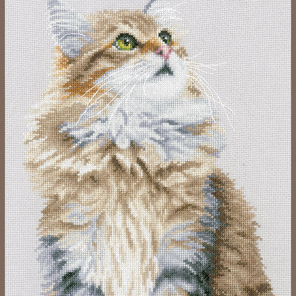 DIY Counted cross stitch kit Forest cat