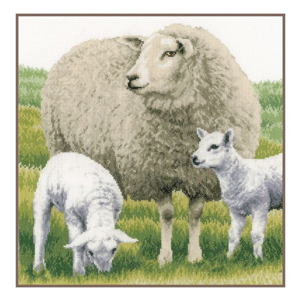 DIY Counted cross stitch kit Sheep