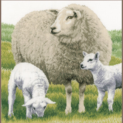 DIY Counted cross stitch kit Sheep