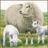 DIY Counted cross stitch kit Sheep