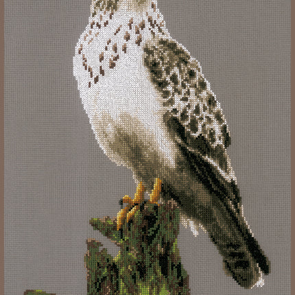 DIY Counted cross stitch kit Falcon