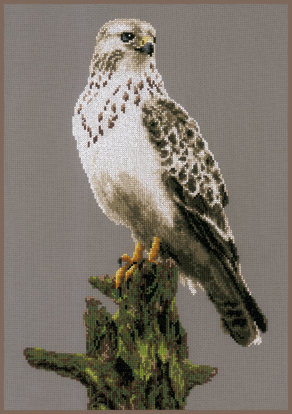 DIY Counted cross stitch kit Falcon