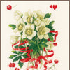 DIY Counted cross stitch kit A hellebores gift