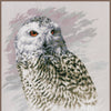 DIY Counted cross stitch kit Snowy Owl