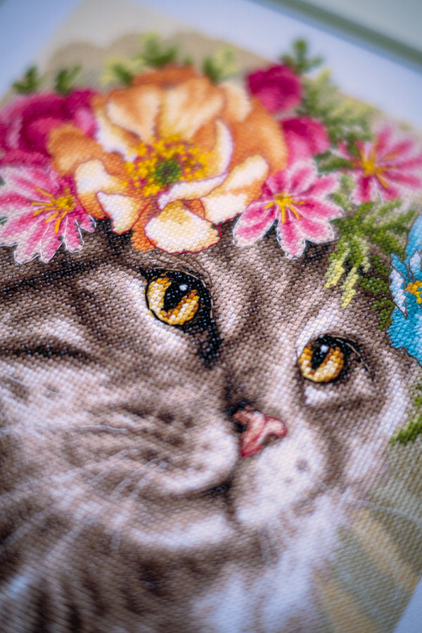 DIY Counted cross stitch kit Flower crown Maine coon