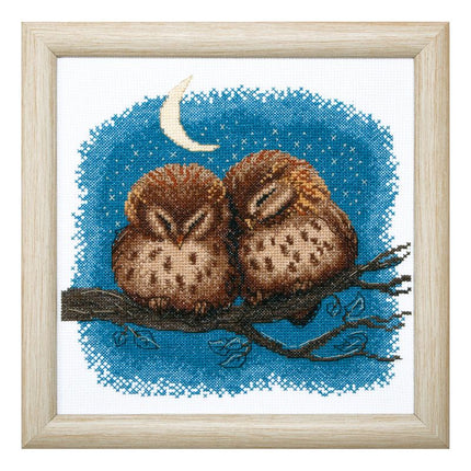 Counted Cross Stitch Kit "Owlets"