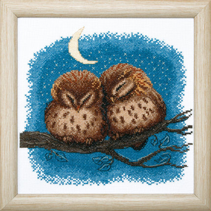 Counted Cross Stitch Kit "Owlets"