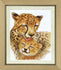 products/vt-068-nab-r-dlya-vishivannya-hrestikom-crystal-art-quot-s-m-039-ya-gepard-v-quot-images-41231.jpg