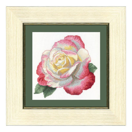 Counted Cross Stitch Kit "Rose of century"