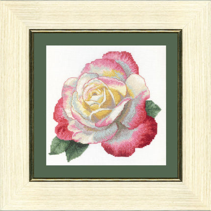 Counted Cross Stitch Kit "Rose of century"