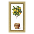 Counted Cross Stitch Kit 