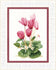 products/vt-096-nab-r-dlya-vishivannya-hrestikom-crystal-art-quot-ciklamen-quot-images-41234_680264ff-9edc-4997-82b8-5a52d77b6bd1.jpg