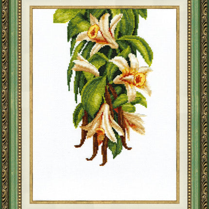 Counted Cross Stitch Kit "Heady vanilla"