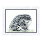 Counted Cross Stitch Kit 