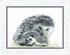 products/vt-134-nab-r-dlya-vishivannya-hrestikom-crystal-art-quot-zhachki-quot-images-45787.gif