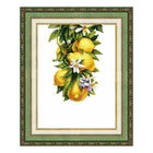 Counted Cross Stitch Kit 