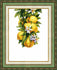 products/vt-136-nab-r-dlya-vishivannya-hrestikom-crystal-art-quot-korisn-limoni-quot-images-44125_e274c18e-de1c-48e7-9034-a4f268a6b717.jpg