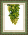 products/vt-137-nab-r-dlya-vishivannya-hrestikom-crystal-art-quot-yantarniy-vinograd-quot-images-44227_5d96ed63-bd39-4d62-a13c-a9a6aaa1fa8d.jpg