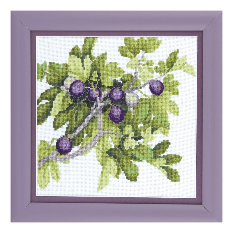 Counted Cross Stitch Kit "Figs"