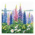 Counted Cross Stitch Kit "Flower morning"