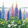Counted Cross Stitch Kit "Flower morning"