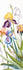 products/vt-246-nab-r-dlya-vishivannya-hrestom-crystal-art-quot-akvarel-n-risi-quot-images-58506_f8998128-af13-495f-bcc3-fa575f9e1216.jpg